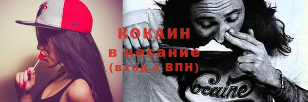 PSILOCYBIN Верхний Тагил