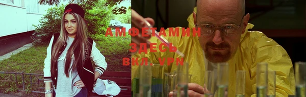 PSILOCYBIN Верхний Тагил