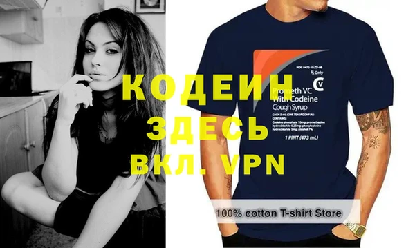 индика Верея