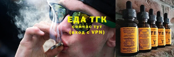 индика Верея