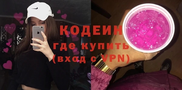 индика Верея