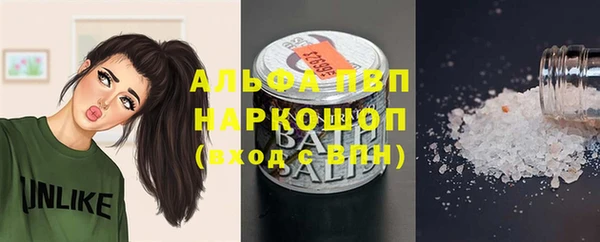 PSILOCYBIN Верхний Тагил