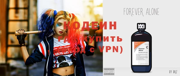 индика Верея