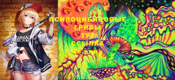 PSILOCYBIN Верхний Тагил