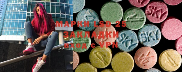 индика Верея