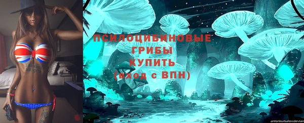 индика Верхнеуральск