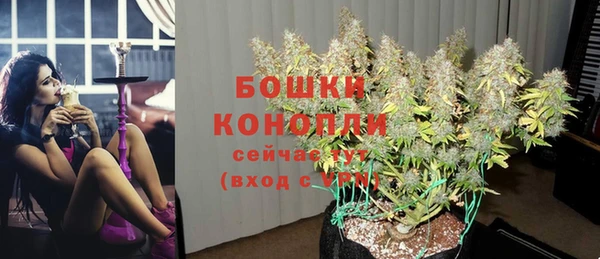 индика Верея