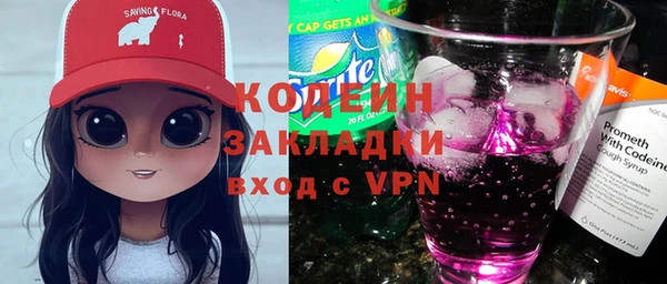 индика Верея