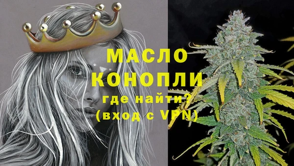 индика Верея