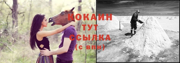индика Верея