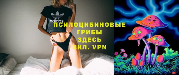 индика Верея